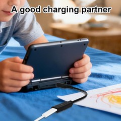 Compact USB-C to 3DS/2DS/DSi Charging Cable – Ideal for Gaming On-the-Go