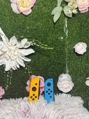 Nintendo Joy-Con Wireless Controllers Yellow & Blue for Switch