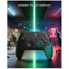 Colorful LED Switch 2 Controller with Turbo Function