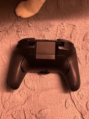 Nintendo Switch Controller