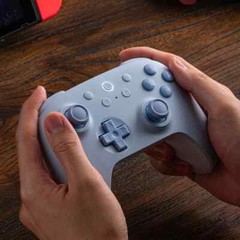 8BitDo Ultimate 2C Bluetooth Controller Wireless Gamepad for Nintendo Switch NS