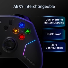 G6V2PE Wireless Controller for PC/Switch/iOS/Android, TMR Joysticks & Trigger…