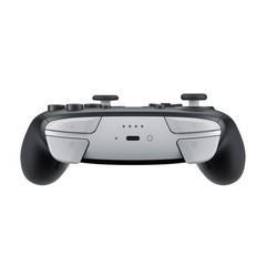 Nintendo Switch 2 Pro Controller – BEEAFSSKA